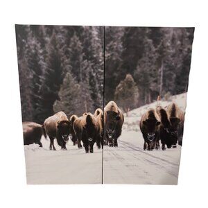 🦬 2-Piece Bison Canvas Wall Art